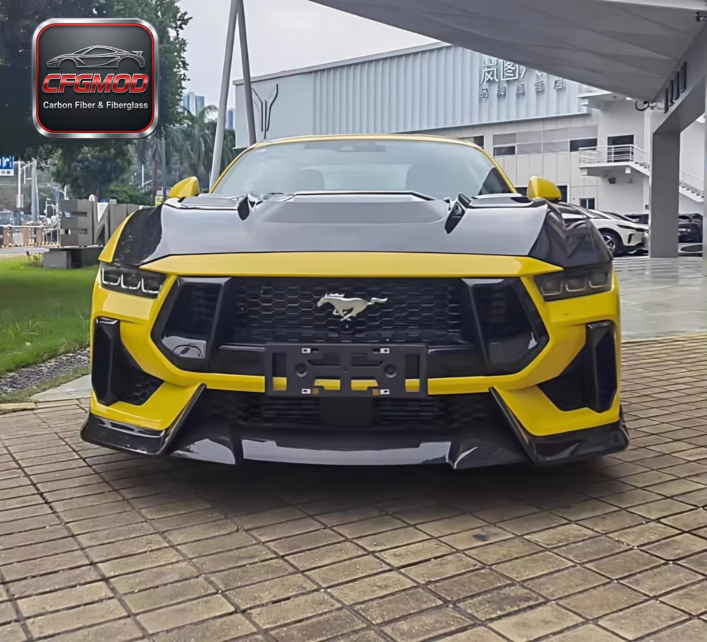 Carbon Fiber Front Bumper Grille Frame Insert for 2024+ Ford Mustang S650 Tuning Parts — 2